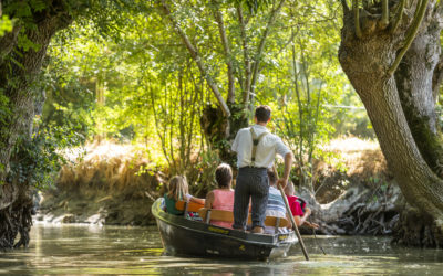 Le Temps d’une Pause à Fontenay-le-Comte : Votre Porte d’Entrée vers les Trésors du Marais Poitevin