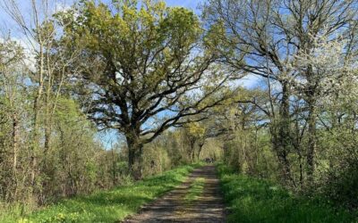 Évadez-vous autour de Fontenay-le-Comte !