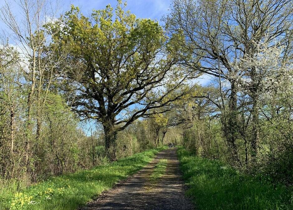 Évadez-vous autour de Fontenay-le-Comte !